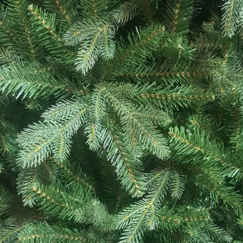 xristougenniatiko dentro botanica king size 1000x1000